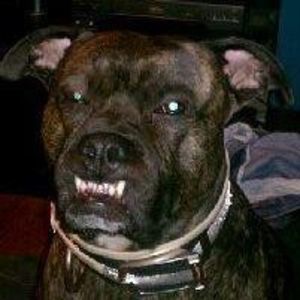 Meet your Posher, Lorraine